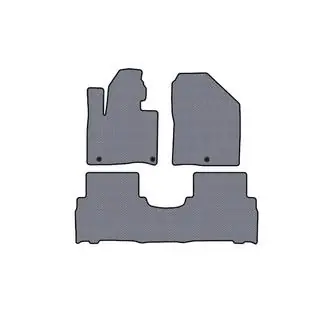 Rubber floor mats Carsuit (2014-2018, 5-seater, gray) photo 1