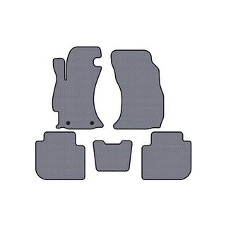 Rubber floor mats Carsuit (2013-2017, gray) photo 1