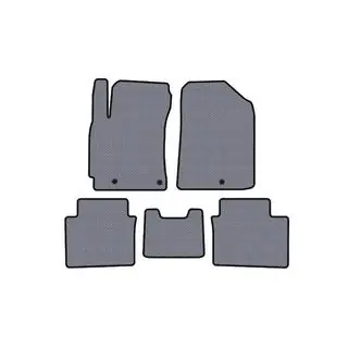 Rubber floor mats Carsuit (2018-2021, gray)