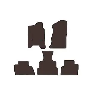 Rubber floor mats Carsuit (2014-2020, brown)