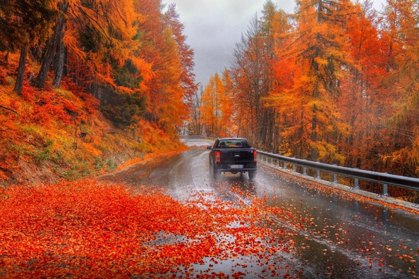 What Dangers Does Autumn Hold for Drivers?