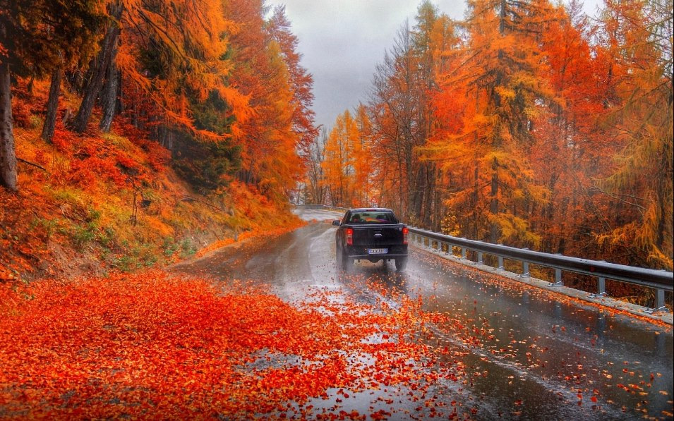 What Dangers Does Autumn Hold for Drivers?