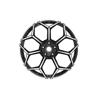 Forged Wheels OEM R23 V9 (Set of 4) photo 1