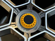 Lamborghini Aventador 2011-2022 Forged OEM Wheels R20 R21 V9 (Set of 4) photo 8
