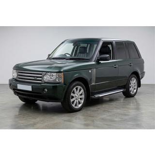 Side Steps Line (2 pcs, Aluminum) photo 1
