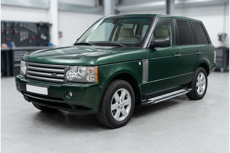 Range Rover III L322 2002-2012 Side Steps Rainbow (2 pcs, Aluminum) Image