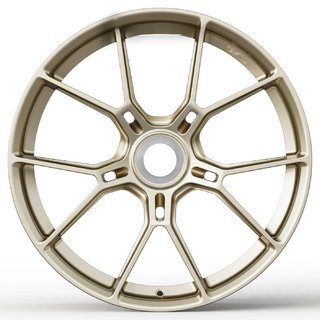 Forged OEM Wheels R20 R21 V42 (Set of 4) photo 2