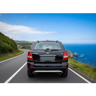Rear Roll Bar AK012 (Stainless Steel)