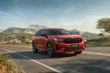 Skoda Kodiaq RS II Review: A Sporty SUV for Family and Performance photo 2