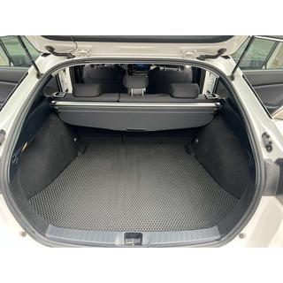 EVA Trunk Mat (LB, Black) photo 1