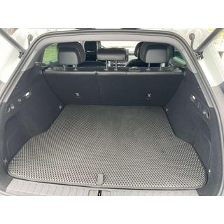 EVA Trunk Mat (Black) Zeekr 7X 2024-