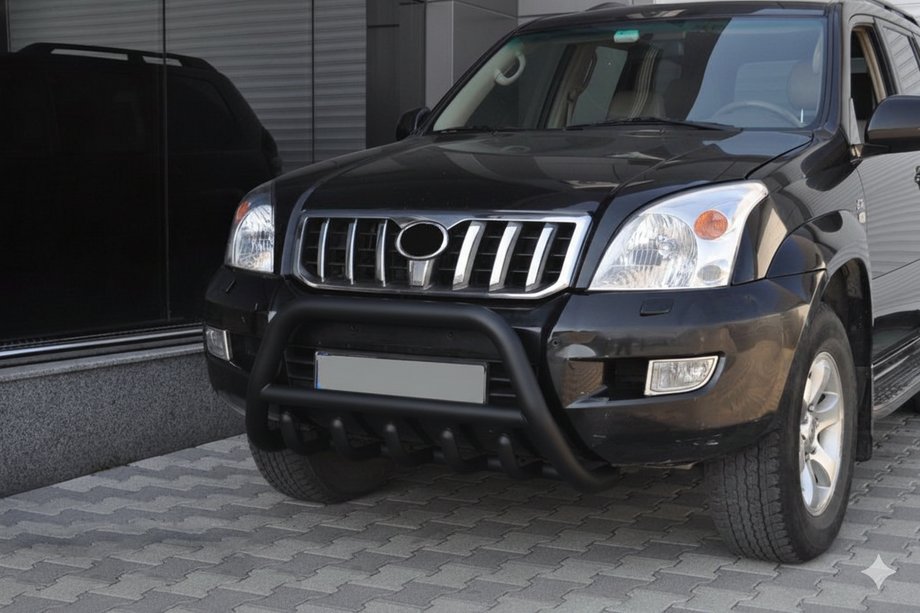 Toyota Land Cruiser Prado 120 2002-2009 Low Bull Bar WT003 Black (Stainless Steel) Image