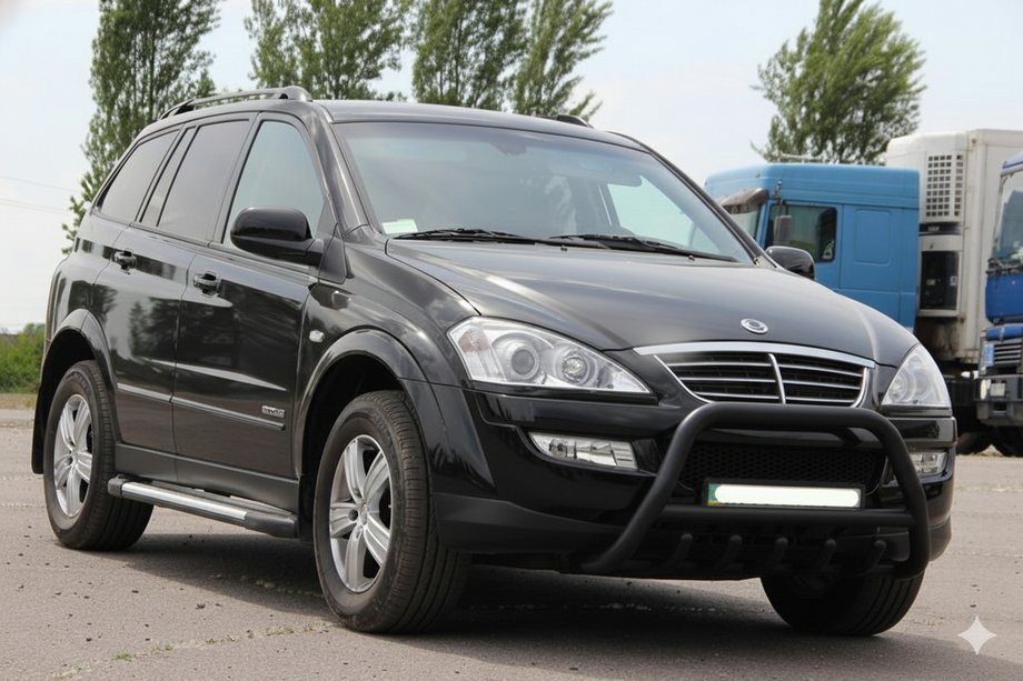 SsangYong Action 2005-2018 Bull Bar WT003 Black Stainless Steel Image