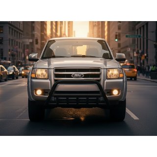 Bull Bar WT003 Black Stainless Steel photo 3