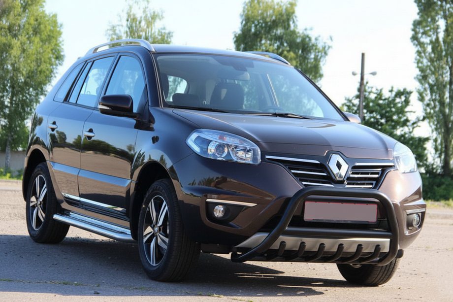 Renault Koleos 2008-2016 Bull Bar WT003 Black (Stainless Steel) Photo 5
