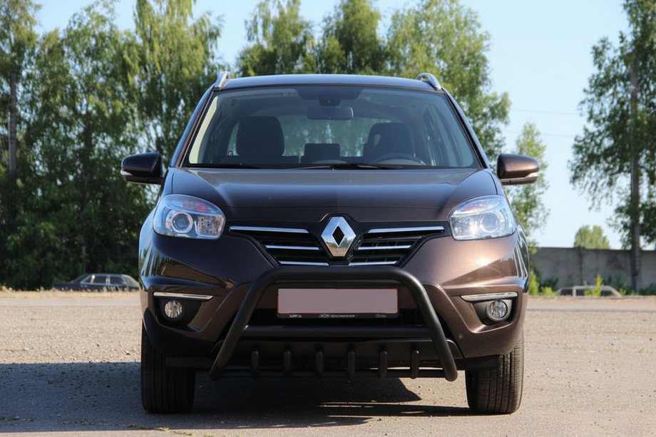 Renault Koleos 2008-2016 Bull Bar WT003 Black (Stainless Steel) Photo 8
