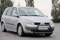 Renault Scenic/Grand 2003-2009 Bull Bar WT004 Black (Stainless Steel) photo 2