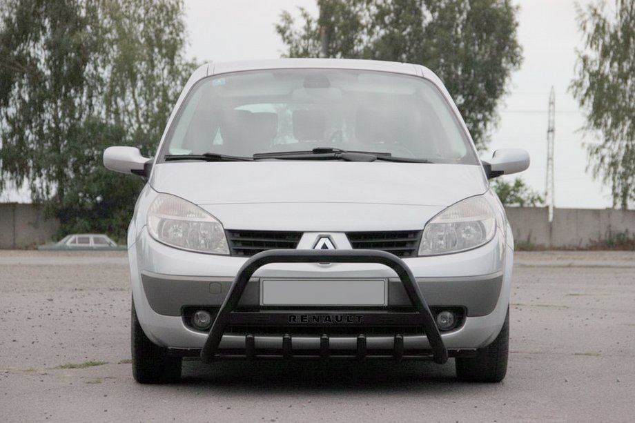 Renault Scenic/Grand 2003-2009 Bull Bar WT004 Black (Stainless Steel) Image