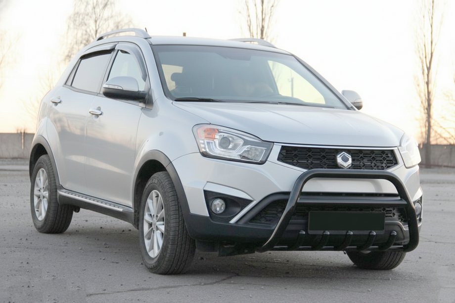 SsangYong Korando 2010-2019 Bull Bar WT003 Black (Stainless Steel) Image