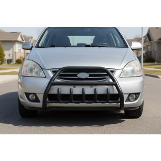 Bull Bar WT003 Black Stainless Steel photo 1