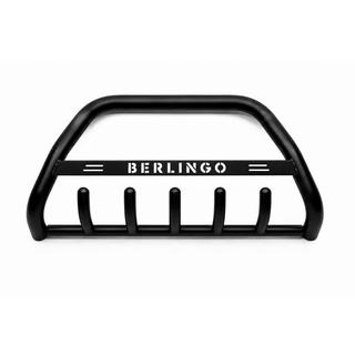 Bull Bar WT004 Black (Stainless Steel)
