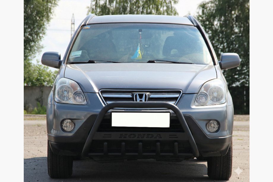 Honda CRV 2001-2006 Bull Bar WT004 Black (Stainless Steel) Image