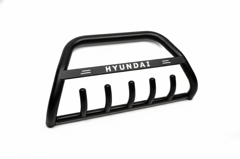Hyundai H300, H1, Starex 2008-2020 Bull Bar WT004 Black (Stainless Steel) Photo 7