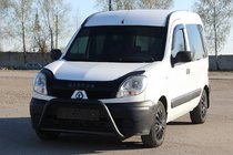 Renault Kangoo 1998-2008 Bull Bar WT004 Black (Stainless Steel) photo 3