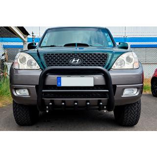Bull Bar WT003 Black Stainless Steel photo 1