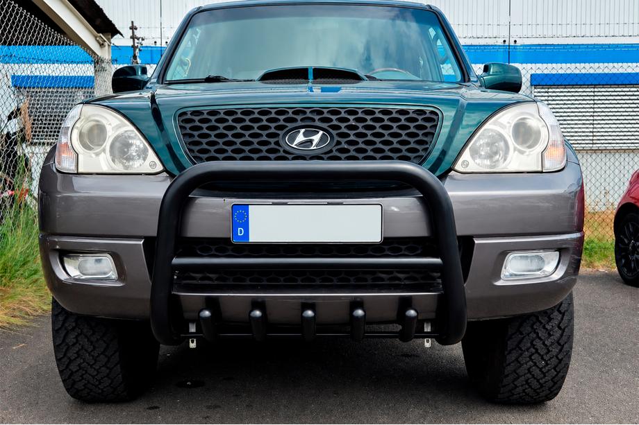 Hyundai Terracan 2001-2007 Bull Bar WT003 Black Stainless Steel Image