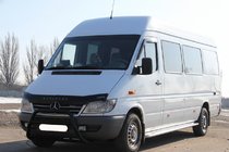 Mercedes Sprinter W901/902/903/904/905 1995–2006 Bull Bar WT003 Black (Stainless Steel) photo 1