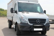 Mercedes Sprinter W906 2006–2018 Bull Bar WT004 (black) photo 1