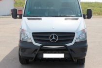 Mercedes Sprinter W906 2006–2018 Bull Bar WT004 (black) photo 3