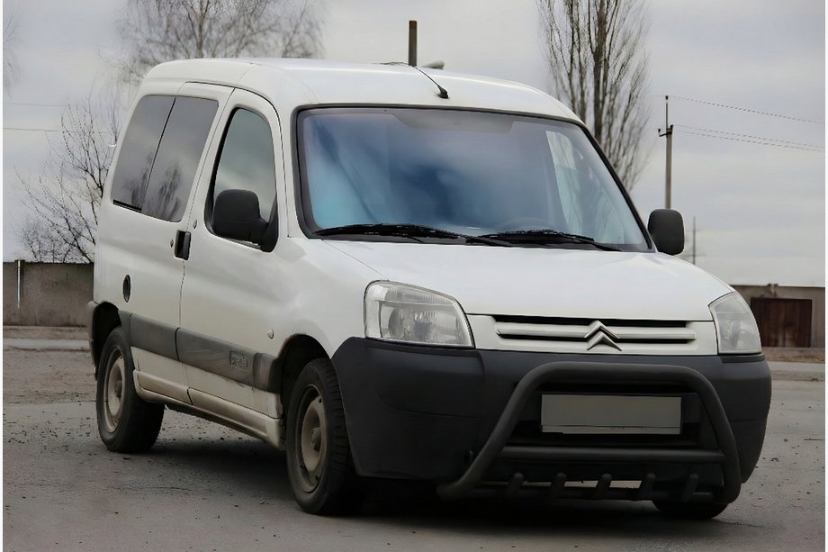 Citroen Berlingo 1996-2008 Bull Bar WT003 Black Stainless Steel Image