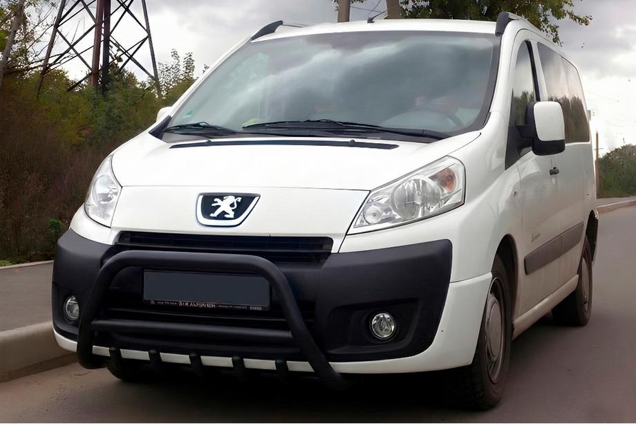 Citroen Jumpy 2007–2017 Bull Bar WT003 Black Stainless Steel Image