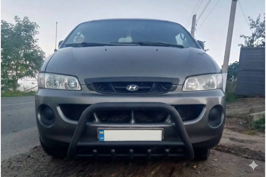 Hyundai H200, H1, Starex 1998-2007 Bull Bar WT003 Black Stainless Steel Image
