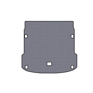 Rubber Trunk Mat Carsuit (Gray) photo 1