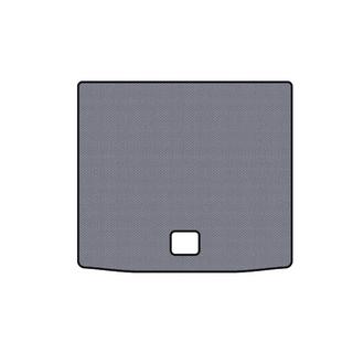 Rubber Trunk Mat Carsuit (Gray) photo 1