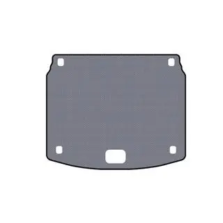 Rubber Trunk Mat Carsuit (Gray) photo 1