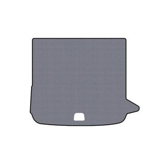 Rubber Trunk Mat Carsuit (Gray) photo 1