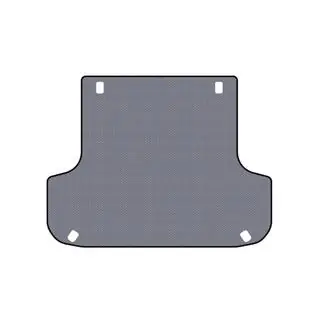 Rubber Trunk Mat Carsuit (Gray) photo 1