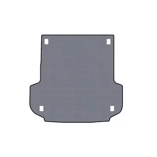 Rubber Trunk Mat Carsuit (Gray) photo 1
