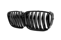 BMW 5 Series F07 2009–2017 Kidneys M-Look (Gloss Black) photo 3