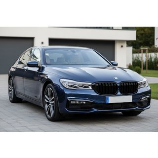 M-Look Kidney Grilles (2016-2019, Gloss Black) BMW 7 Series G11/G12 2015-2022 photo 1