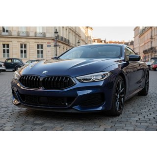 Grille 1-Bar (2018-2022, Gloss Black) BMW 8 Series G14/G15/G16 2018- photo 1