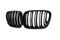 BMW X5 E53 1999–2006 M-Look Kidney Grilles (1999-2003, Gloss Black) photo 2