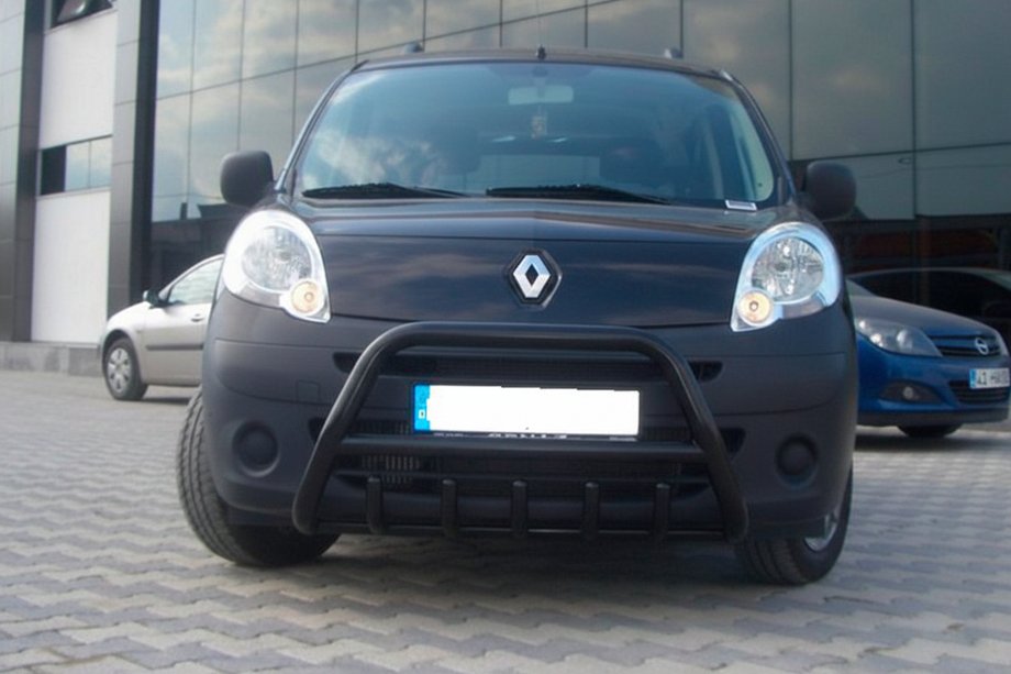 Mercedes Citan 2013-2021 Bull Bar WT003 Black Stainless Steel Image
