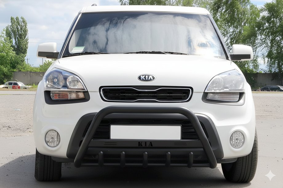 Kia Soul I 2008-2013 Bull Bar WT004 Black (Stainless Steel) Image