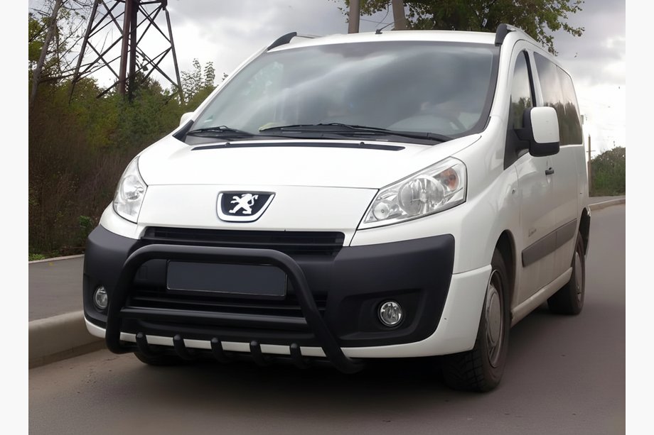 Peugeot Expert 2007-2016 Bull Bar WT003 Black Stainless Steel Image