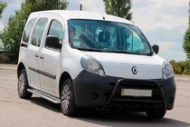 Renault Kangoo 2008–2020 Bull Bar WT003 Black Stainless Steel photo 1